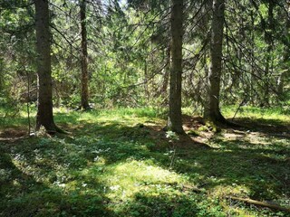 Vakantiehuis Bruzaholm  31