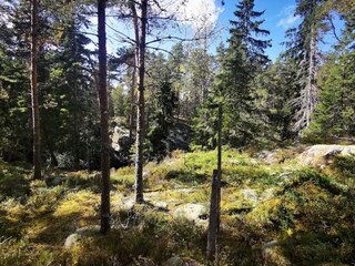 Holiday house Bruzaholm  28