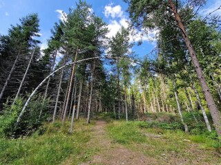 Holiday house Bruzaholm  29