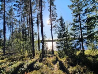 Ferienhaus Bruzaholm  31