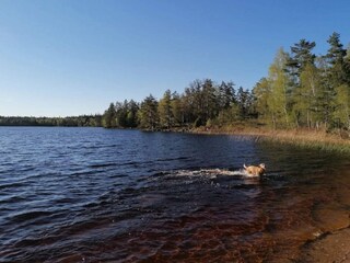 Holiday house Bruzaholm  14