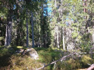 Holiday house Bruzaholm  33