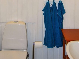 Holiday house Verum  5