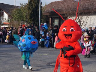 Höriumzug während der Fasnet