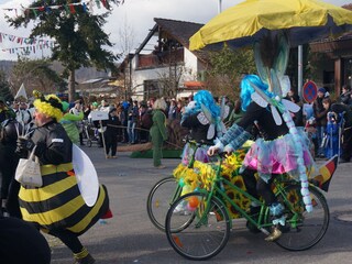 Höriumzug während der Fasnet
