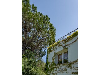 Villa Montpellier Buitenaudio-opname 3