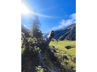 Wuderschöne Berglandschaft in unmittelbarer Nähe