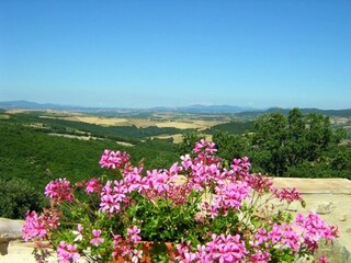 Maison de vacances Seggiano Environnement 23
