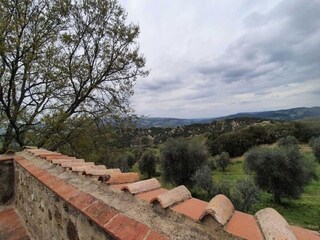 Ferienhaus Seggiano Außenaufnahme 4