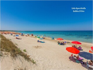 Casa per le vacanze Torre Santa Sabina Ambiente 33