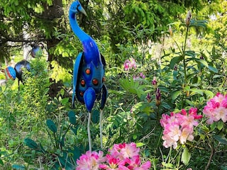 Vakantiehuis Muskö  9