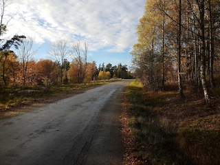 Ferienhaus Muskö  15