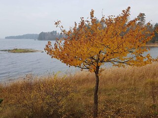 Vakantiehuis Muskö  31