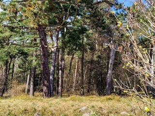 Casa per le vacanze Højby  18