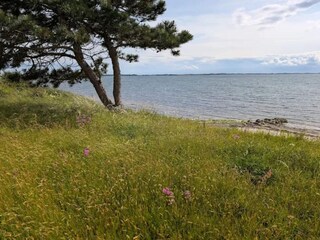 Vakantiehuis Kelstrup Strand  19