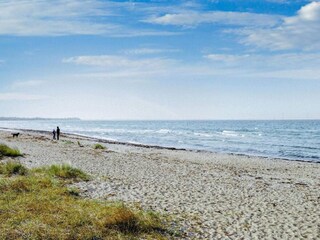 Casa per le vacanze Kelstrup Strand  37