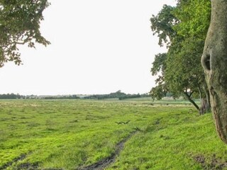 Vakantiehuis Kolind  23