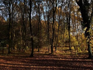 Casa de vacaciones Kolind  8