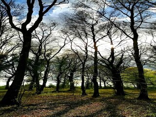 Casa de vacaciones Kolind  9