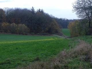 Holiday house Kolind  20