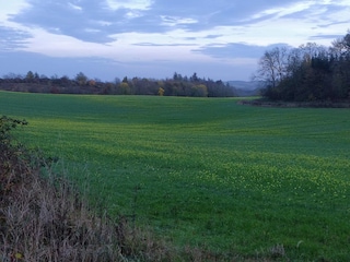 Holiday house Kolind  21