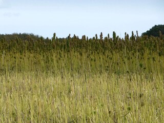 Ferienhaus Kolind  22