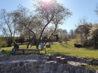 Entspannung im Garten