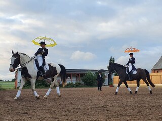 Pferdetheater in Zirkow