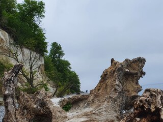 Kreidefelsen in Sassnitz