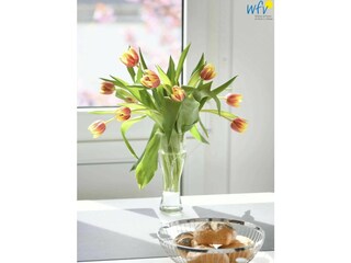 Vakantieappartement Wangerooge  17