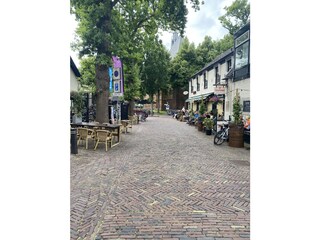 Appartamento per vacanze Bergen (Holland) Ambiente 24