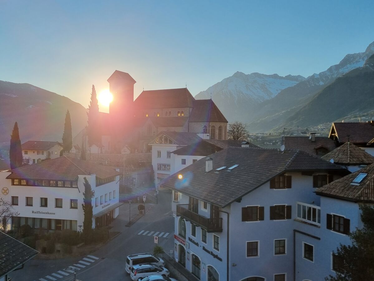 Abendsonne am Wiesenweg