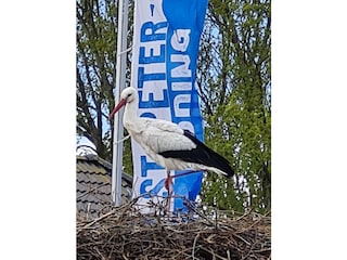 Apartamento de vacaciones St. Peter-Ording Entorno 23