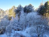 Winterblick aus der Wohnung (Februar 23)