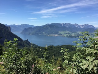 Panoramablick auf den Traunsee vom Grünberg aus