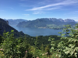 Wanderung am Grünberg - Blick Traunsee / Traunkirchen