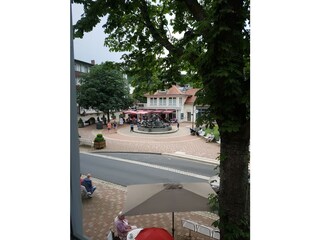 Ferienwohnung Bad Harzburg Umgebung 21