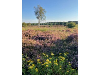 Appartamento per vacanze Döse  27