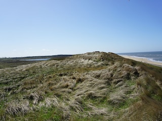 Dünen und Meer