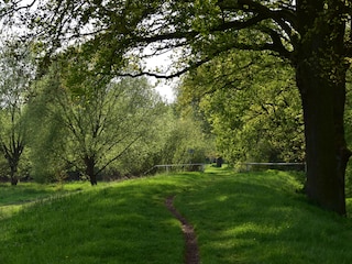 Auf dem Deich am See ... radeln oder wandern