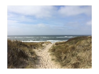 Ferienhaus Westerland Umgebung 29