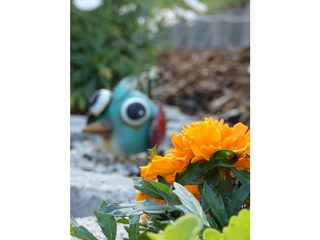 Chalet Murau (Stadt) Outdoor Recording 6