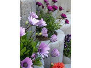 Chalet Murau (Stadt) Registrazione all'aperto 8