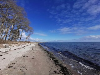 Maison de vacances Spodsbjerg  37