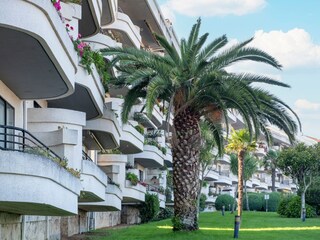 Vakantiehuis O Grove Buitenaudio-opname 4