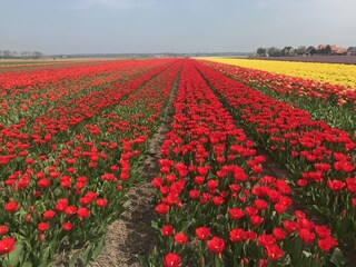 Casa per le vacanze Bergen (Holland) Ambiente 31