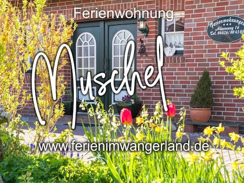 Ferienwohnung Muschel Minsen Hund Pool Sauna