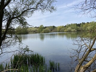 Wald-/Dünengebiet Westerschouwen