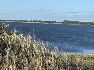 Vakantiehuis Kamperland Omgeving 36