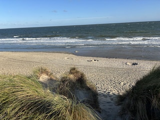 Vakantiehuis Kamperland Omgeving 28